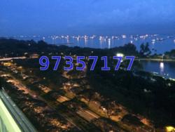 Laguna Park (D15), Apartment #61497772